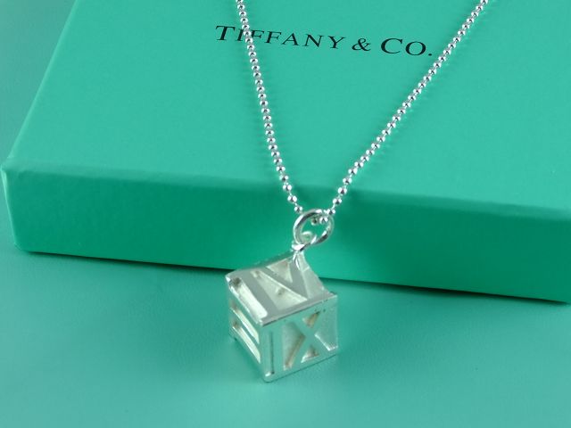 tiffany Necklace-337